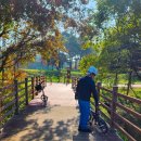 만경강 | 🥇 [완주 여행] 힘들지 않은 힐링! 🍂 가을 만경강 WANTA 전기 자전거 해설 투어 후기