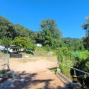 유격장 지나 이미지