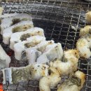 타임투반려동물 장례식장 | 752th. 일상 / 막둥이냥이, 우유 잘가... [복막염 큐어핍주사][함평 타임투 반려동물 장례식장]