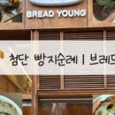 브레드영