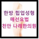 전주 한옥마을 초행자를 위한 허술한 안내서 : 볼거리 및 맛집투어