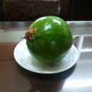 바븐 이미지