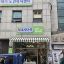 호연나무
