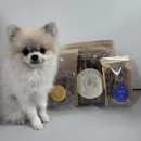 반려동물 간식 | 견문이 불여일견 오래 먹는 반려동물 수제간식 강아지 리얼후기