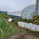 복천리입구(광주)