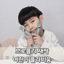 비움 | 브로콜리 새싹 효능 액상스틱 어린이 플라비움 솔직후기