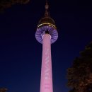 저스틴 멍멍 이미지