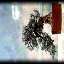 관광예술원 이미지