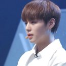 똥꼬발랄 이미지