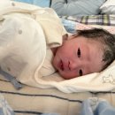 엄조산원 이미지