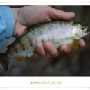 山川에서 이미지