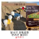 대구 달서구 장동공원 반려견 놀이터 솔직 후기