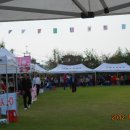 낙동초등학교 이미지