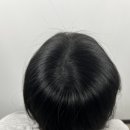 모란홍천