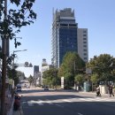 군산신풍초등학교 이미지