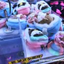 보라카이 오락실 이미지