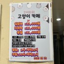 모여봐요 고양이카페 이미지