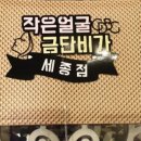 금단비가 세종점