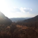 부성반점 이미지