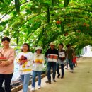 안동강소농