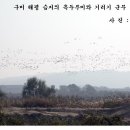 구미 해평 습지의 기러기와 흑두루미 무리 이미지