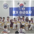 용인대 영웅 태권도장 이미지