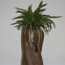 산동농협 4공단지점 이미지