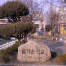 봉의초등학교 이미지