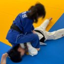 새롬 유도관 이미지