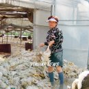 김기수 농장 이미지