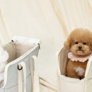 사계절 애견 켄넬 이미지