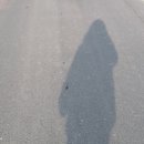 정인호오토 이미지