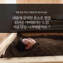 애니원효소 - 동구 동대전로248번길 19 | 애니원효소