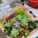 동읍평생교육센터 이미지