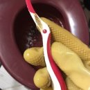 홈케어링