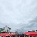 가-20 | 제천빨간오뎅축제 2026 솔직후기 2/28~3/02일