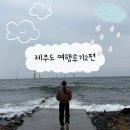 오션뷰 | [제주도 여행후기-2편]코카콜라카페/료리야/협재해수욕장/장인의집/슬슬슬슬로우