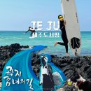 곽지횟집 | 제주도 애월 곽지서핑 키치웨이브 즐기고 온 후기