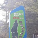 용현계곡입구 이미지