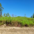 구산공원 농구장 이미지