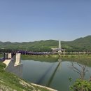 시루섬 Daum카페
