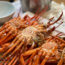 포항 오이소 홍게 무한리필 후기 | 죽도시장 인생맛집 예약팁까지 총정리