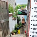 영조 세탁 이미지