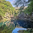 천제연약국 이미지