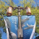 완료＞김해 가야의 역사와 봉하마을 _ 10.19(일)_아이들만 참가 이미지