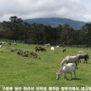 강건목장 이미지