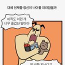 올댓노형 | 끝내주는 여름 휴가 in jeju🍊