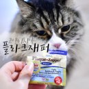 싸다구펫 이미지