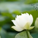 아드레스 | 경주 한복대여 플렉서블&아드레스