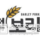 보리돈